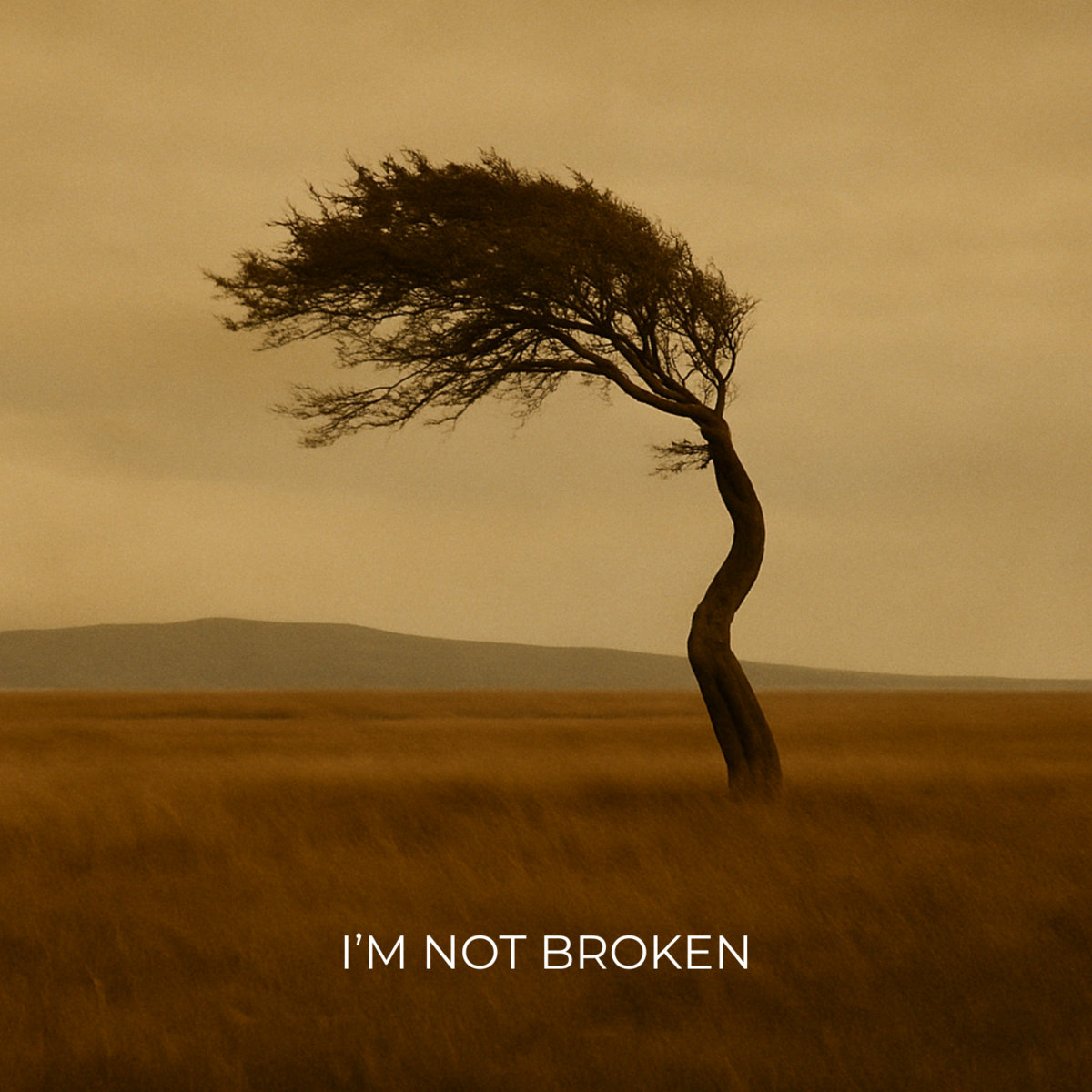I'm Not Broken cover art