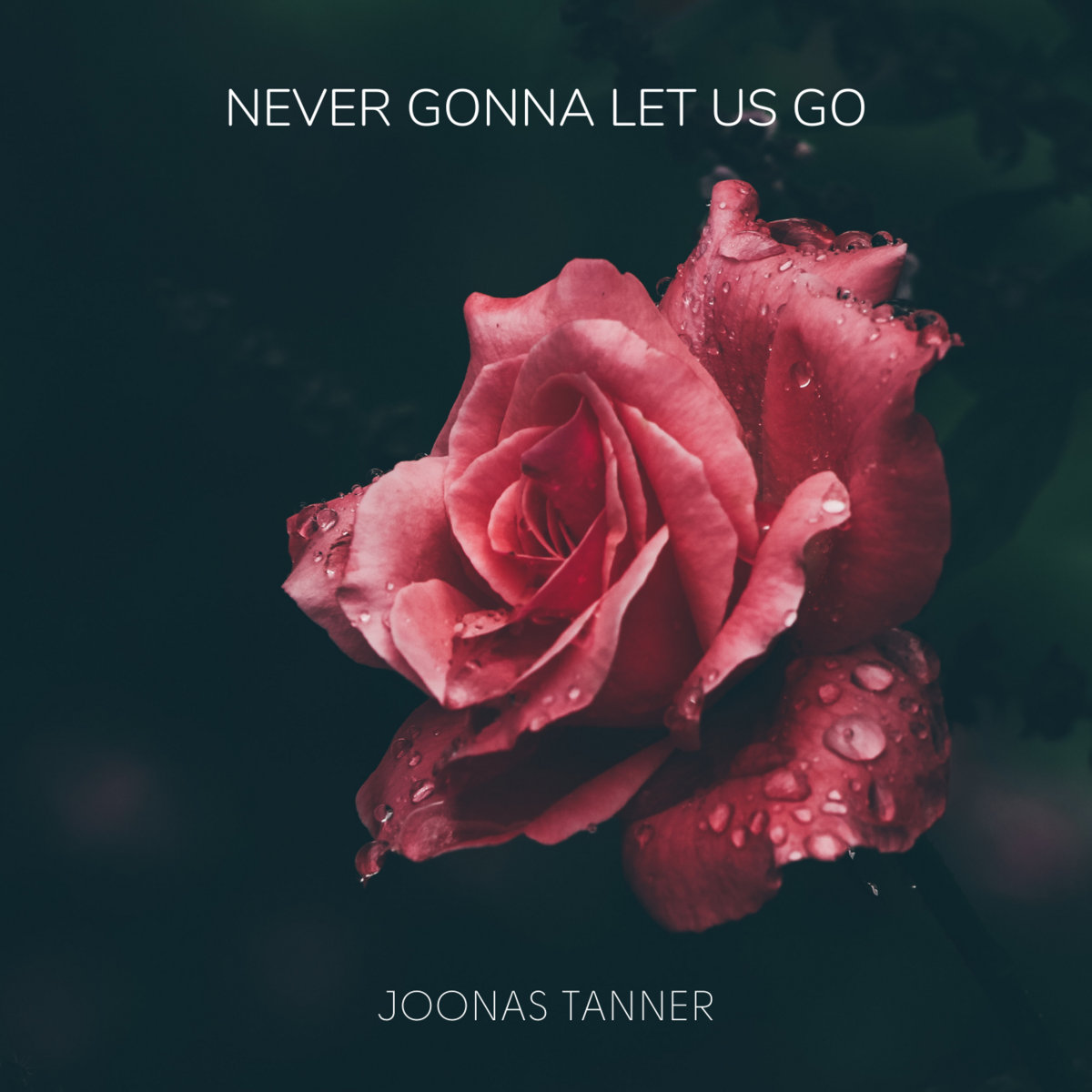 Never Gonna Let Us Go cover art
