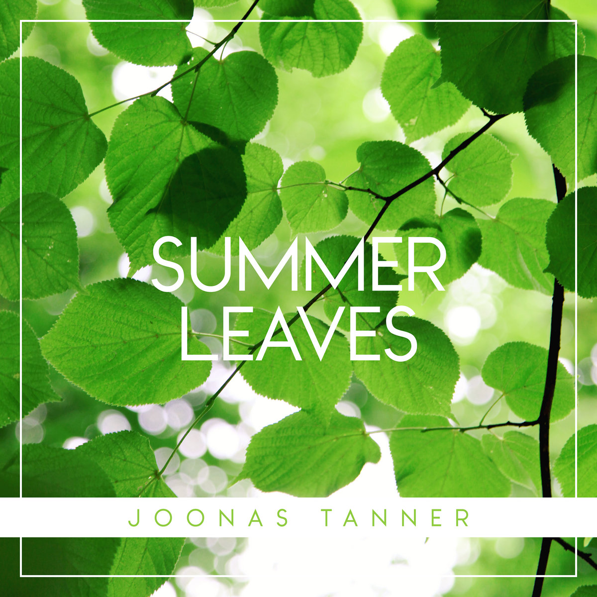 Summer Leaves cover art